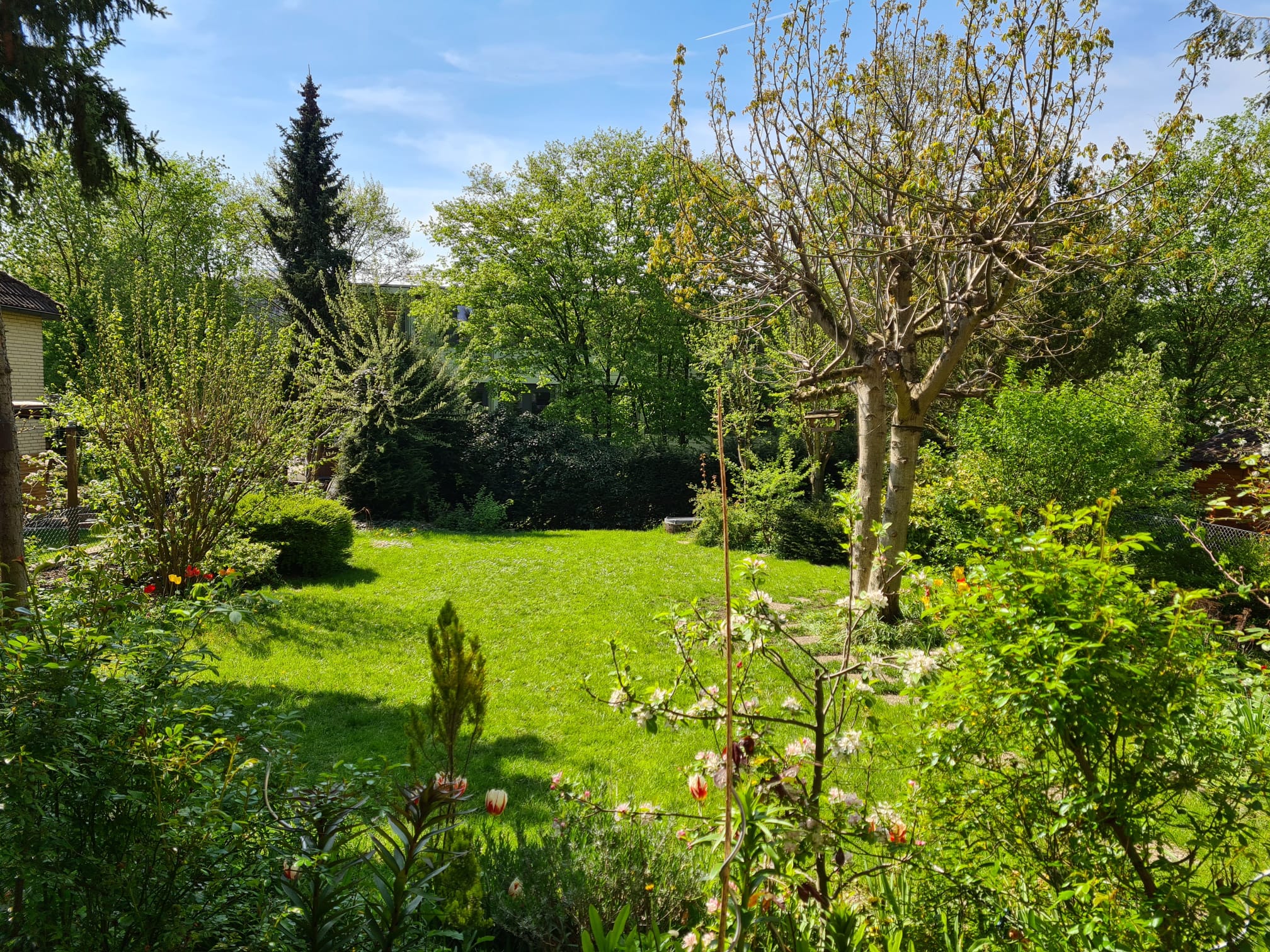 Foto Betreutes Wohnen